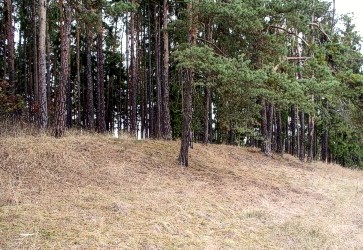 Oub�nice - poz�statky obvodov�ho opevn�n� akropole (foto Roman Abu�inov)