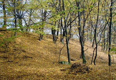 Kozrovice / Vystrkov - tet vnitn val - opevnn akropole (foto Roman Abuinov)